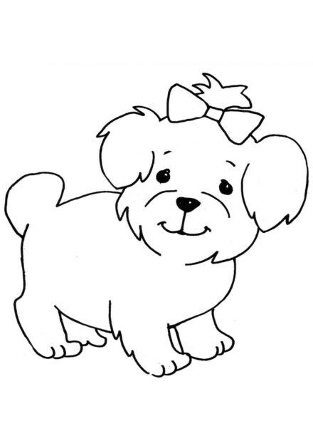 Dibujo para Colorear: Perro Boloñés