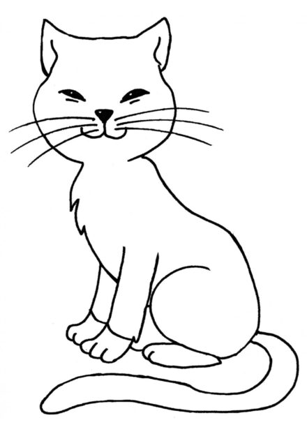 Dibujo para Colorear: Gato con Bigotes