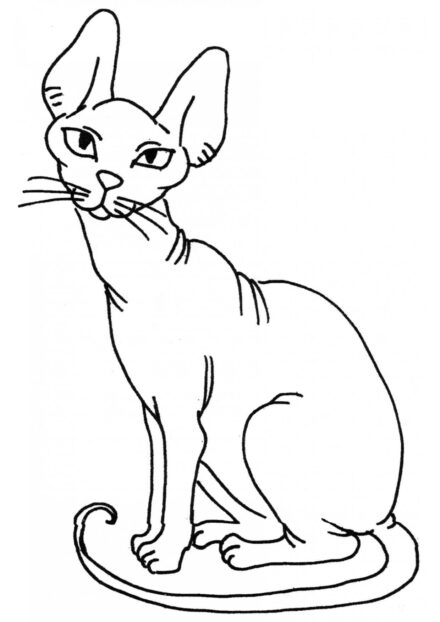 Dibujo para Colorear: Gato Esfinge