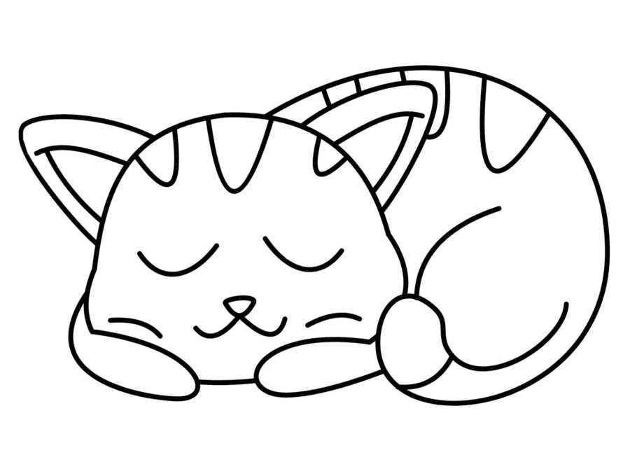 Dibujo para Colorear: Gatito Durmiendo