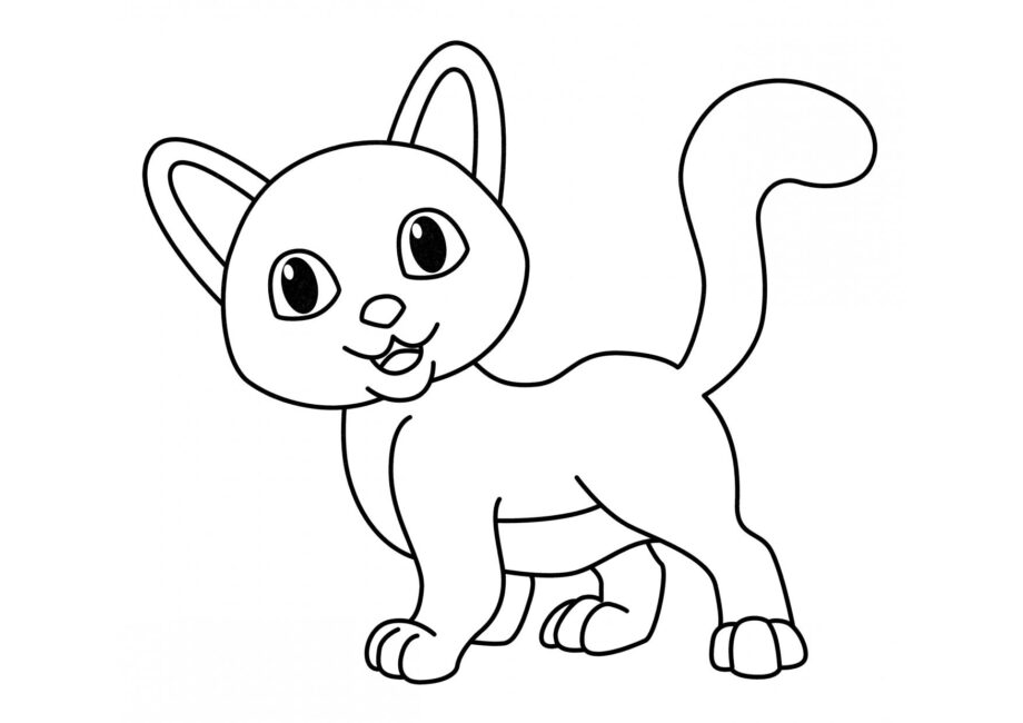 Dibujo para Colorear: Gato Curioso