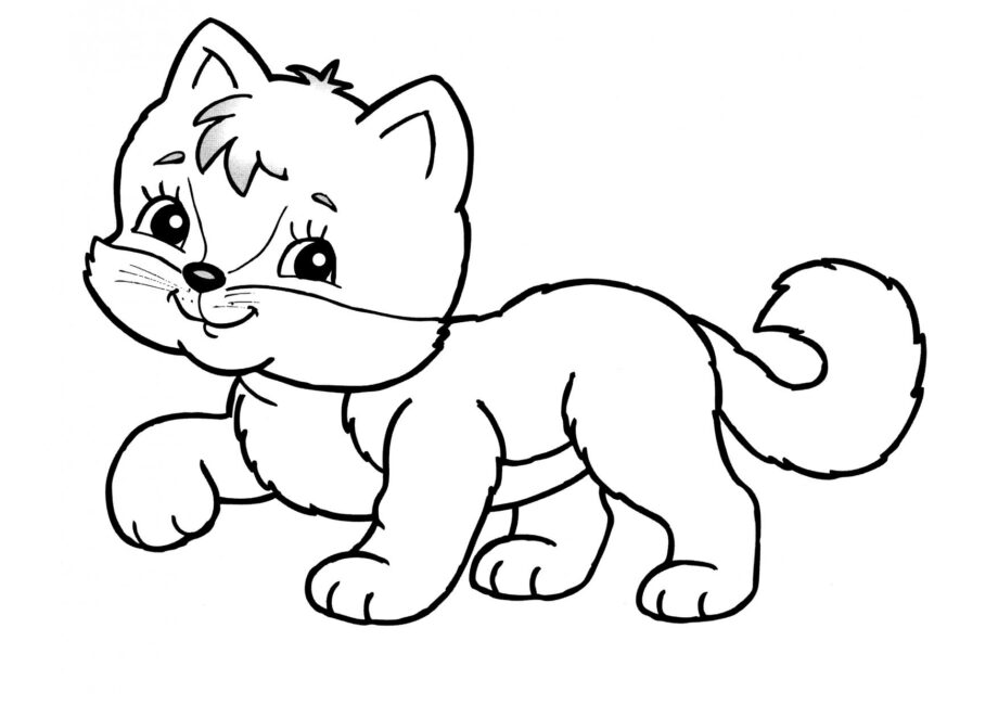 Dibujo para Colorear: Gatito Gracioso