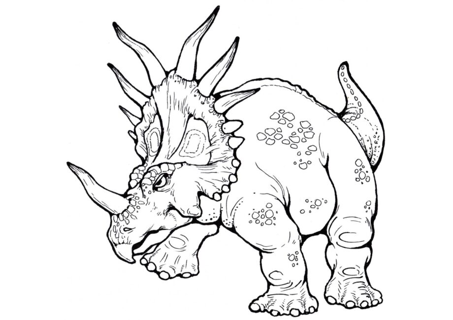 Dibujo para Colorear de Styracosaurus