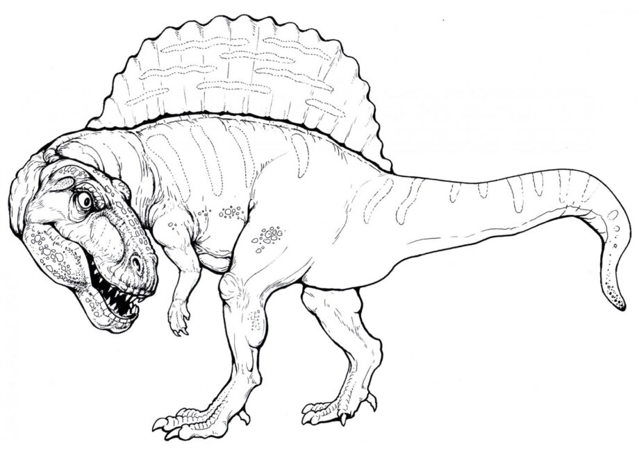 Dibujo para Colorear de Spinosaurus