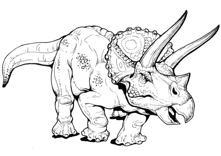 Dibujo para Colorear de Triceratops