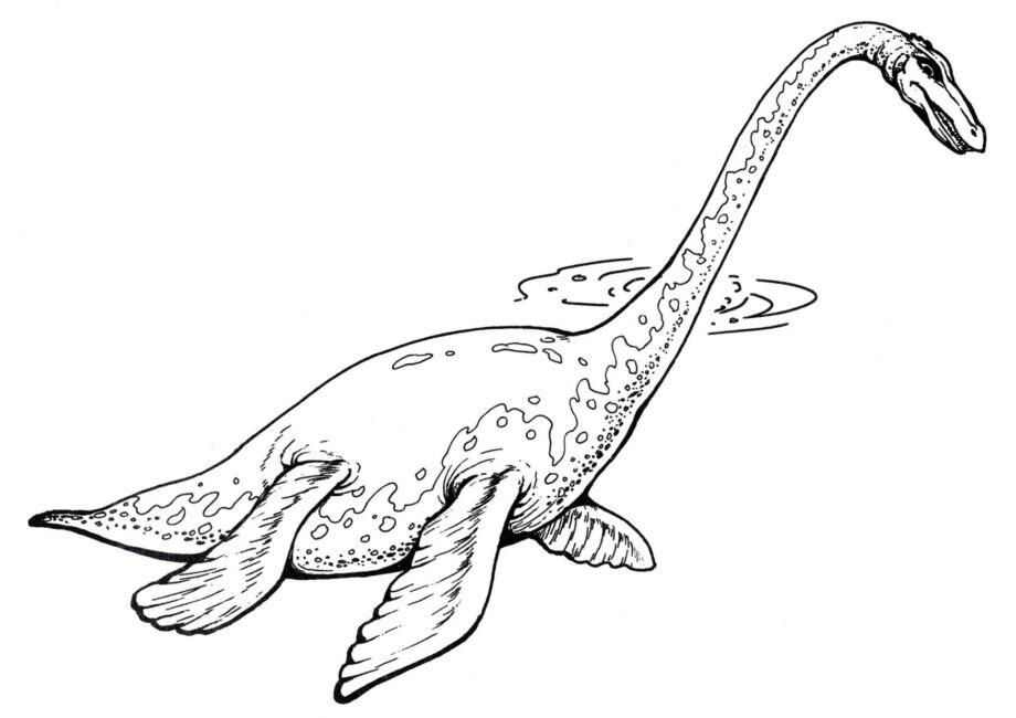 Dibujo para Colorear de Plesiosaurus