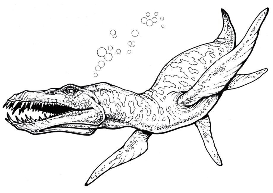 Dibujo para Colorear de Liopleurodon