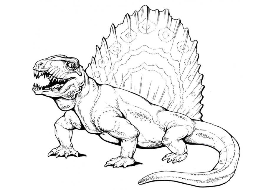 Dibujo para Colorear de Dimetrodon