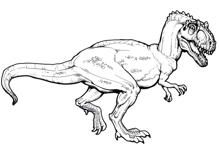 Dibujo para Colorear de Allosaurus