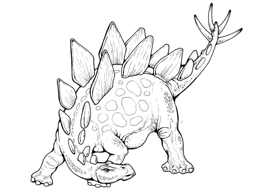 Dibujo para Colorear de Stegosaurus