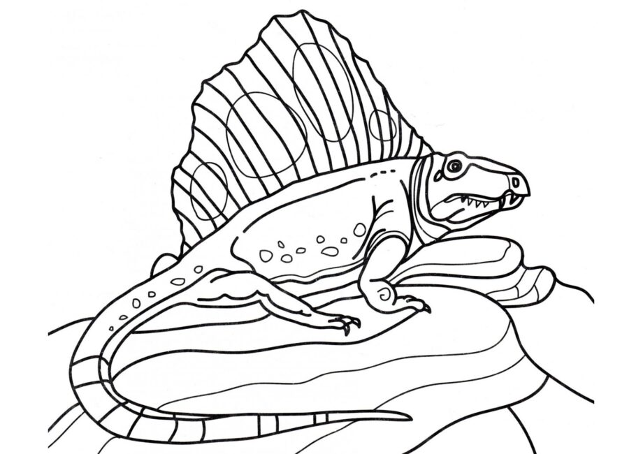 Dibujo para Colorear de Dimetrodon en las Rocas