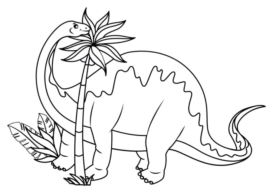 Dibujo para Colorear de Diplodocus