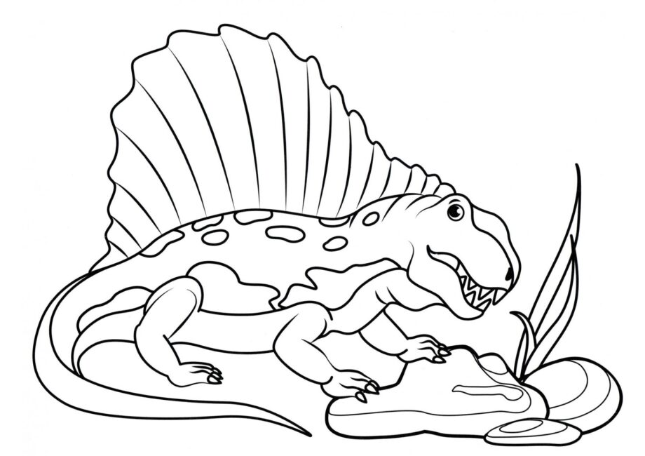 Dibujo para Colorear de Hermoso Dimetrodon