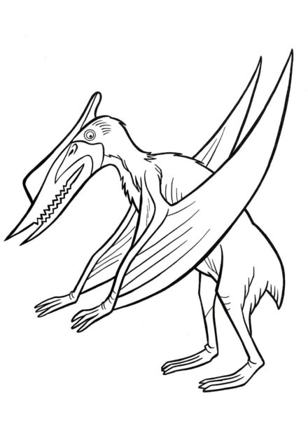 Dibujo para Colorear de Pterodáctilo De Pie